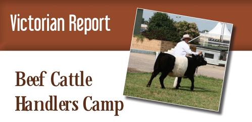 Victoria Cattle Handlers Camp